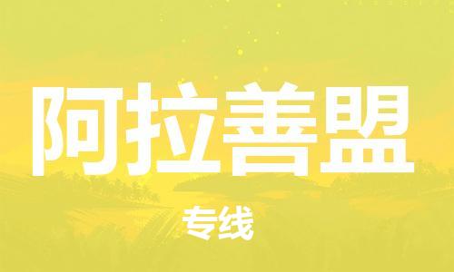 大城县到阿拉善盟物流专线2023省市县-乡镇+闪+送+直达阿拉善盟