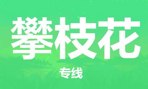 保定到攀枝花物流专线2023省市县+乡镇-闪+送