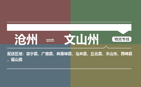 沧州到文山州物流专线，沧州到文山州物流公司，沧州到文山州货运专线